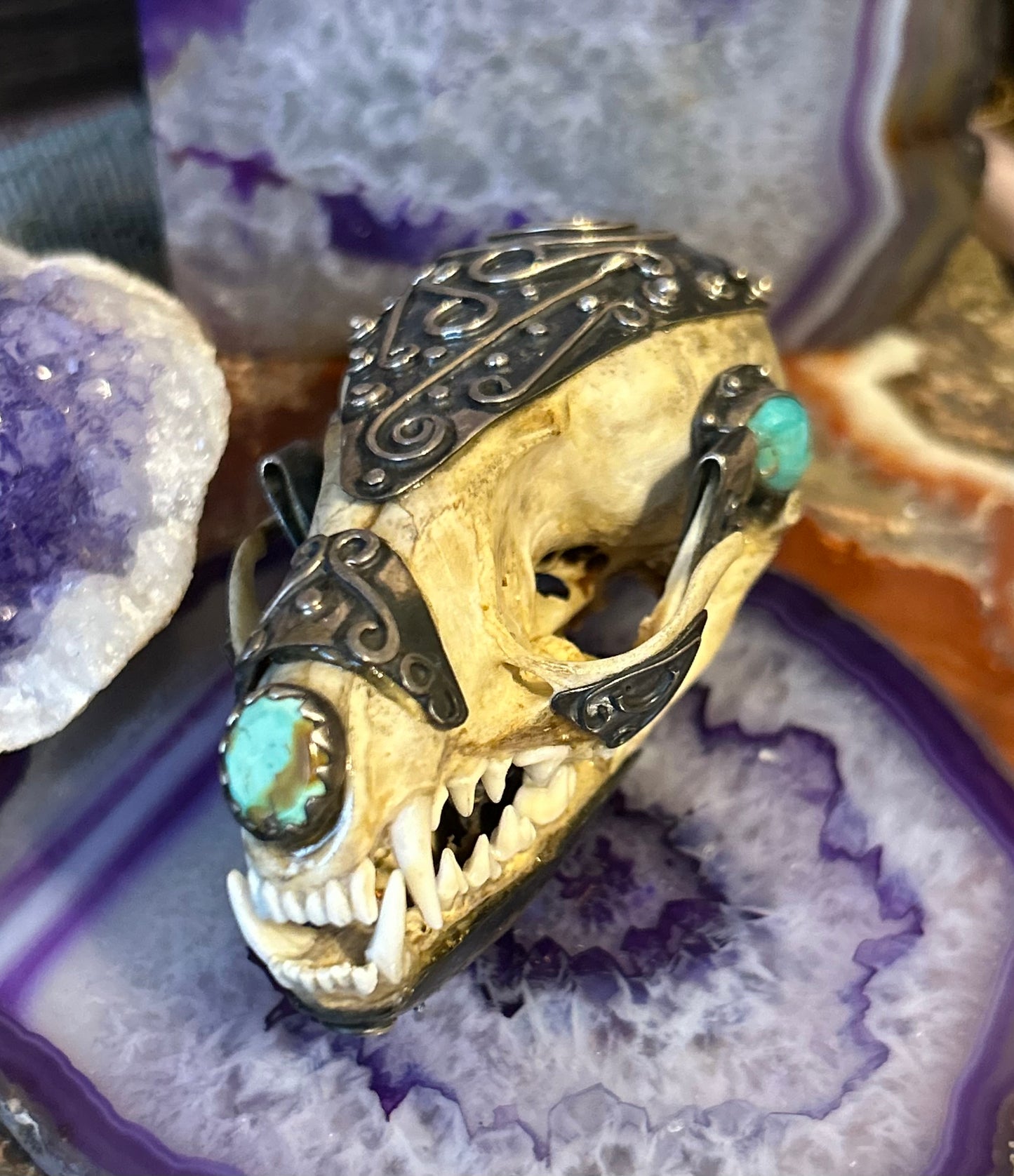 Sterling Silver & Turquoise Mexico Coati Skull Large Statement Pendant