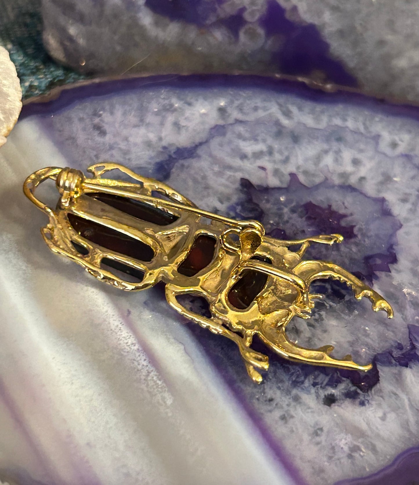 14k Gold Over Sterling Silver & Baltic Cherry Amber Stag Beetle Pendant Pin