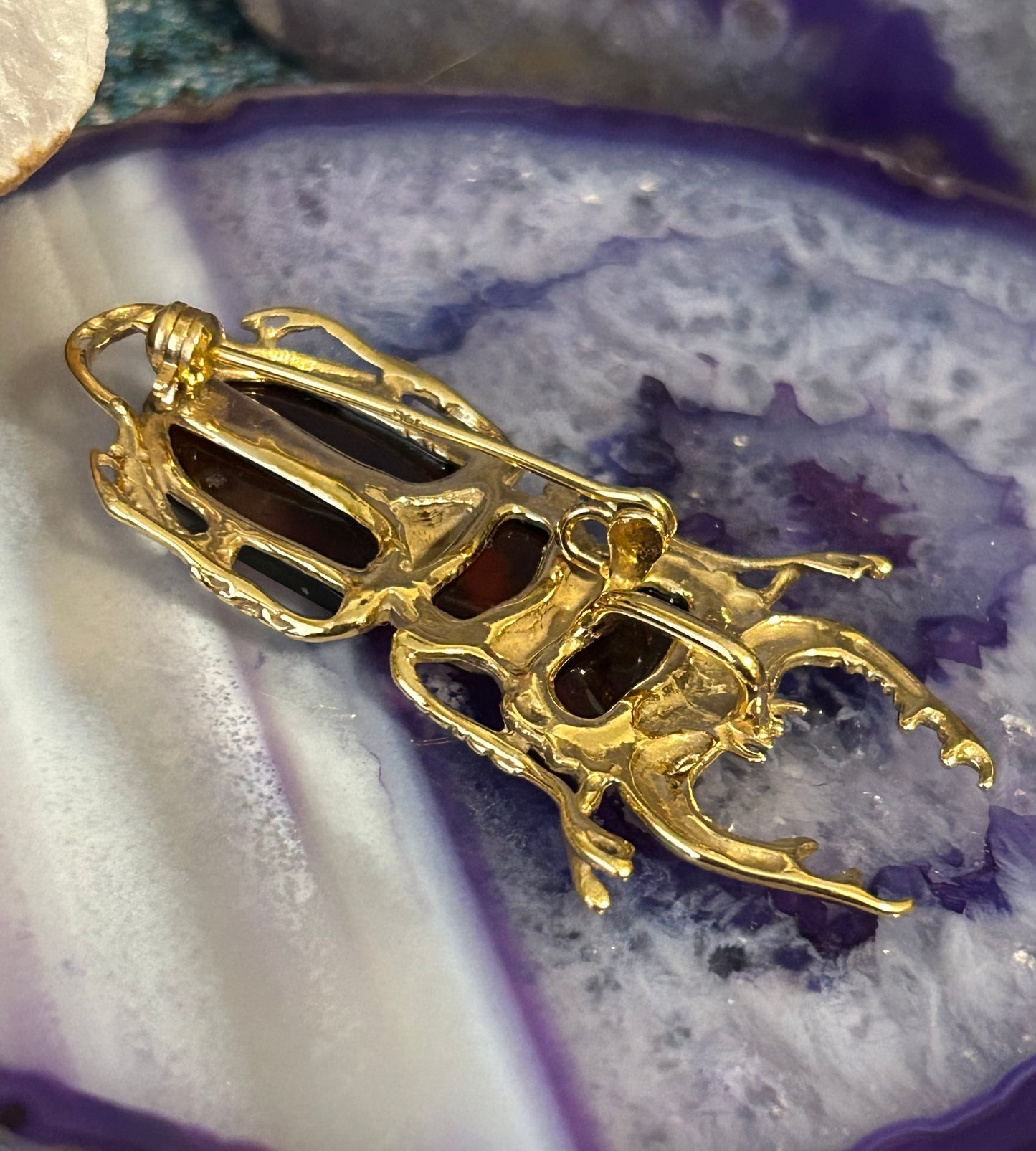 14k Gold Over Sterling Silver & Baltic Cherry Amber Stag Beetle Pendant Pin