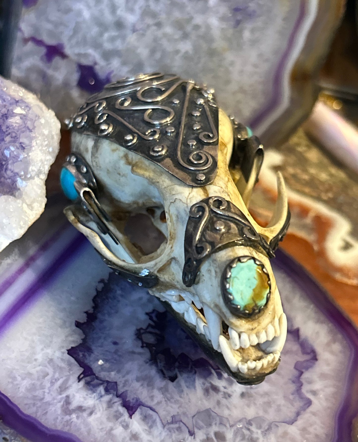 Sterling Silver & Turquoise Mexico Coati Skull Large Statement Pendant