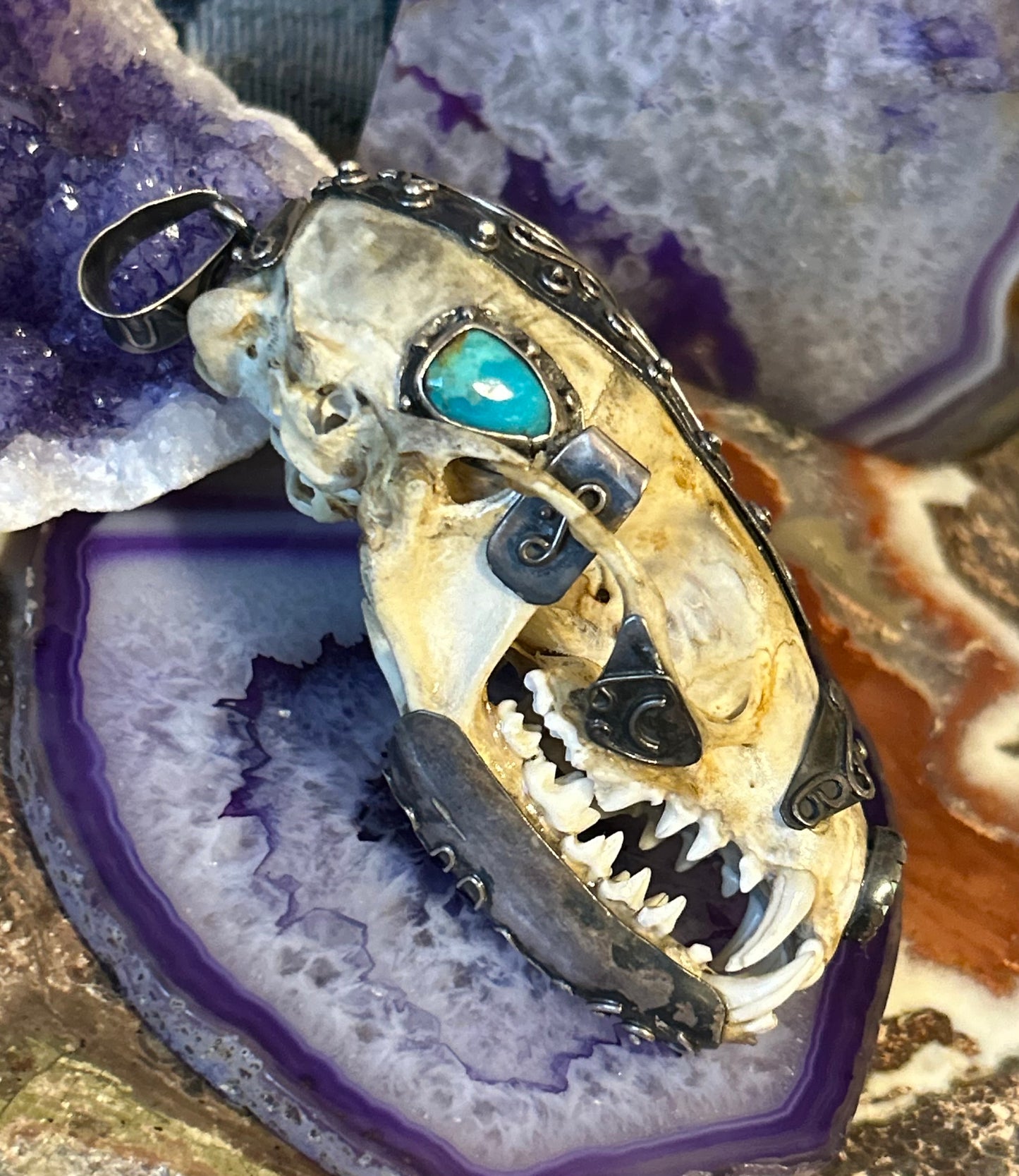 Sterling Silver & Turquoise Mexico Coati Skull Large Statement Pendant