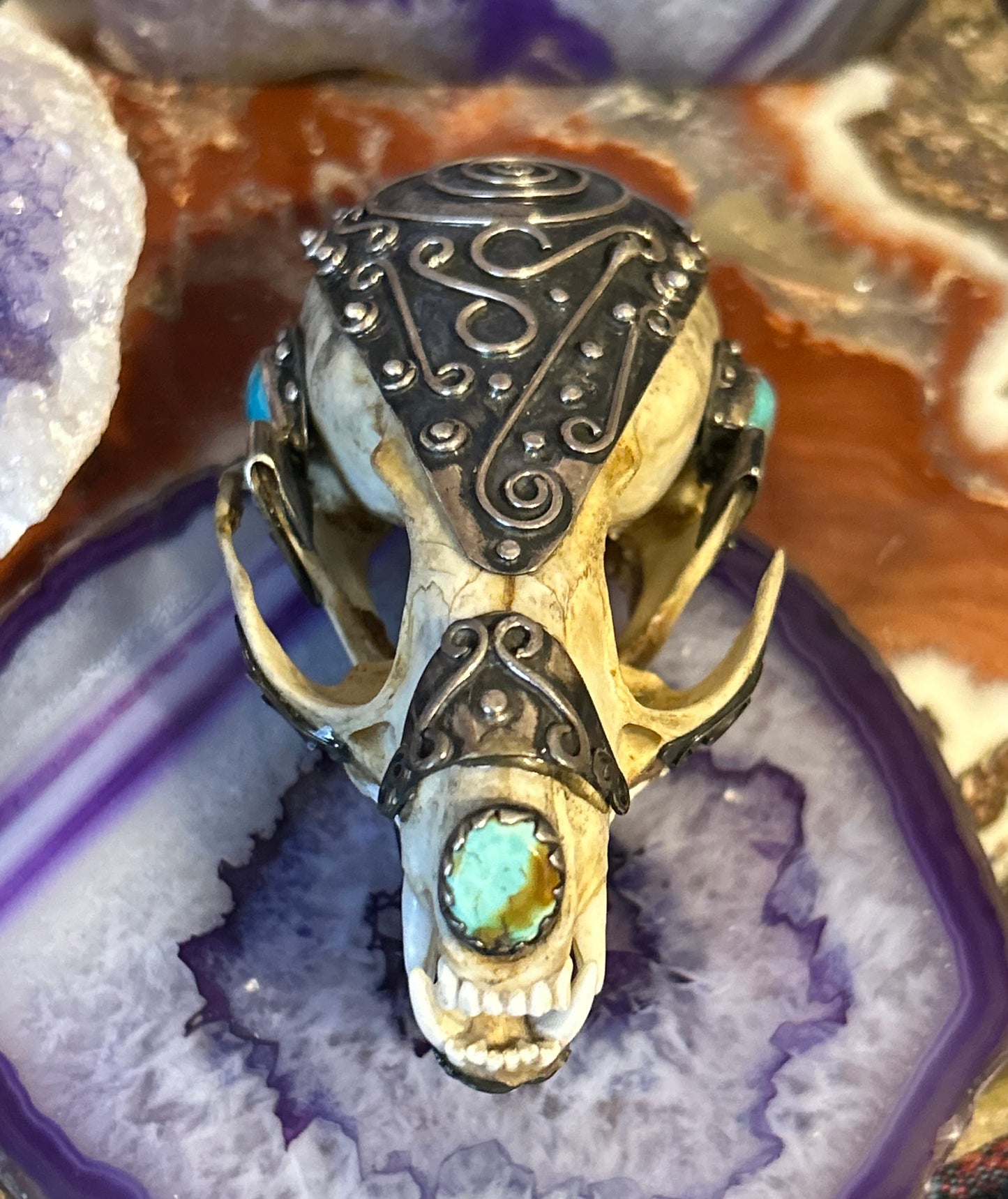 Sterling Silver & Turquoise Mexico Coati Skull Large Statement Pendant